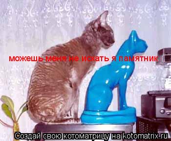 Котоматрица: можешь меня не искать я памятник можешь меня не искать я памятник