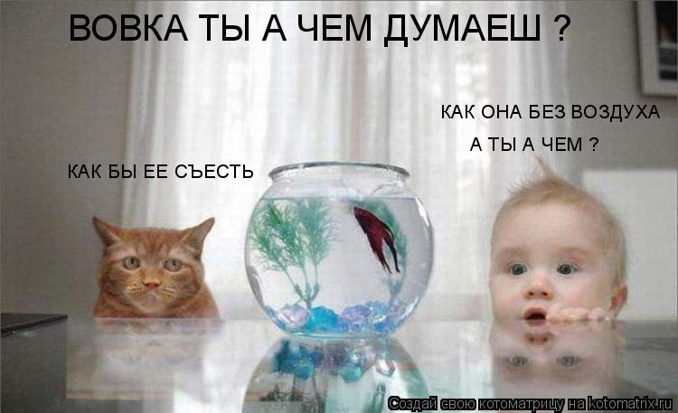 Котоматрица: ВОВКА ТЫ А ЧЕМ ДУМАЕШ ? КАК ОНА БЕЗ ВОЗДУХА А ТЫ А ЧЕМ ? КАК БЫ ЕЕ СЪЕСТЬ