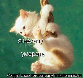 Котоматрица: я нехачу умерать
