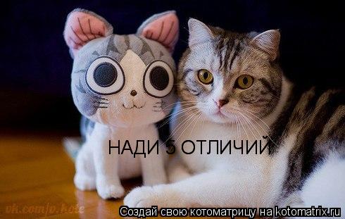 Котоматрица: НАДИ 5 ОТЛИЧИЙ НАДИ 5 ОТЛИЧИЙ