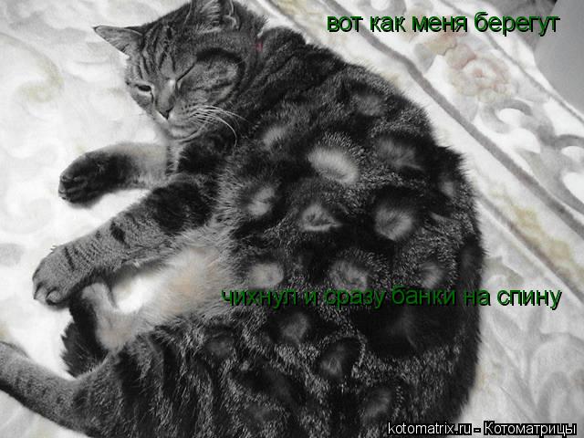 Котоматрица: вот как меня берегут чихнул и сразу банки на спину