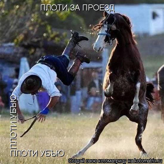 Котоматрица: ПЛОТИ ЗА ПРОЕЗД ПЛОТИ УБЪЮ ПЛОТИ УБЪЮ