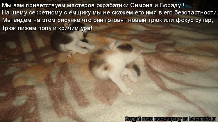 Котоматрица: Мы вам приветствуем мастеров окрабатики Симона и Бораду ! На шему секретному с ёмщику мы не скажем его имя в его безопастности. Мы видем на э
