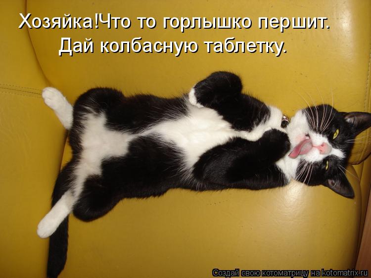 Хозяйка!Что то горлышко першит. Дай колбасную таблетку.... Котоматрица: Хозяйка!Что то горлышко першит. Дай колбасную таблетку.