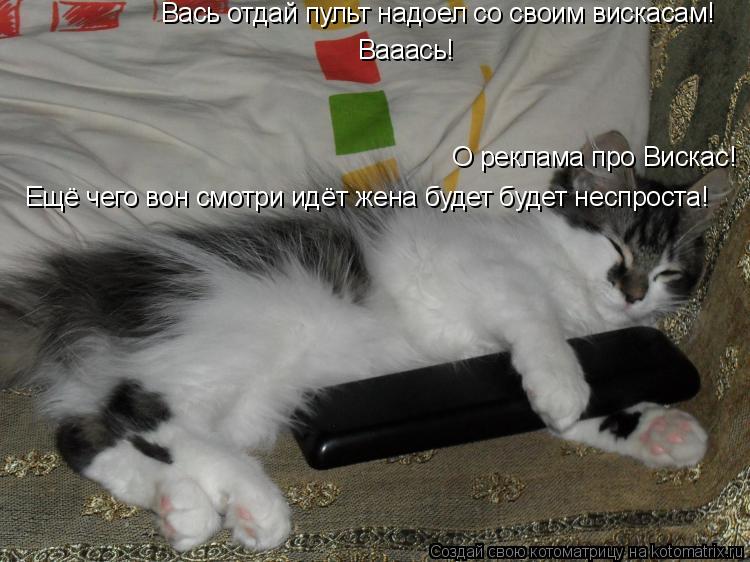 Котоматрица: О реклама про Вискас! Вась отдай пульт надоел со своим вискасам! Ещё чего вон смотри идёт жена будет будет неспроста! Вааась!