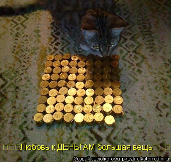 Котоматрица: &#4326;&#4326;&#4326;Любовь к ДЕНЬГАМ большая вещь&#4326;&#4326;&#4326;