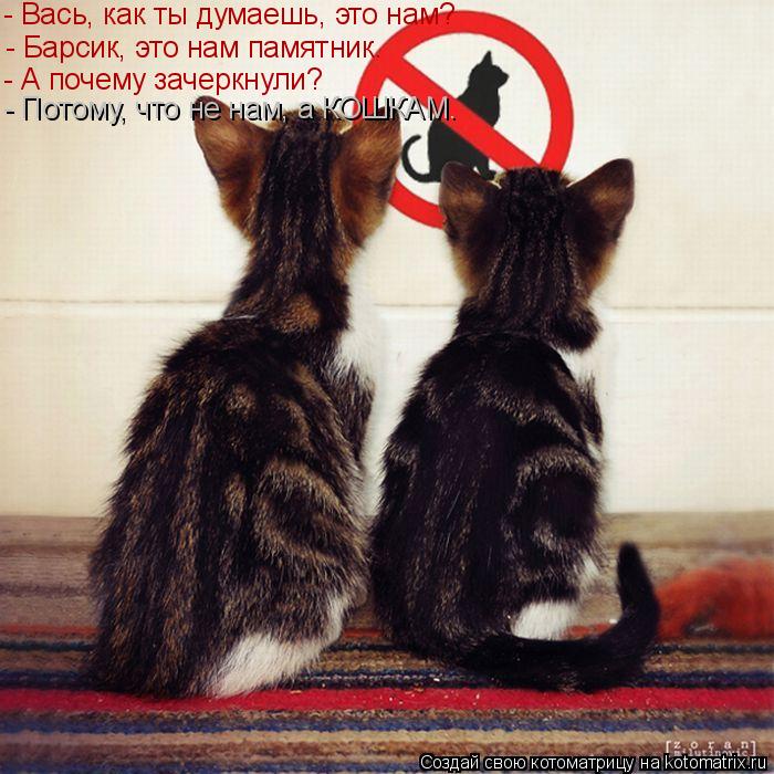 Котоматрица: - Вась, как ты думаешь, это нам? - Барсик, это нам памятник. - А почему зачеркнули? - Потому, что не нам, а КОШКАМ.