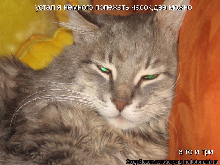 Котоматрица: устал я немного полежать часок,два можно а то и три
