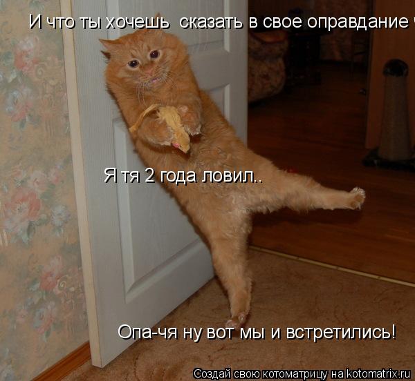 Котоматрица: Опа-чя ну вот мы и встретились! И что ты хочешь  сказать в свое оправдание что я ловил тебя 2 месяца? Я тя 2 года ловил..