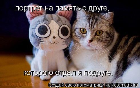 Котоматрица: портрет на память о друге, которого отдал я подруге.