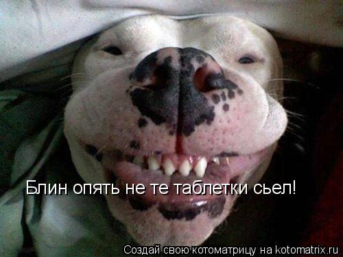 Котоматрица: Блин опять не те таблетки сьел!