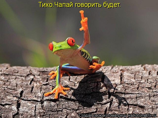Котоматрица: Тихо.Чапай говорить будет.
