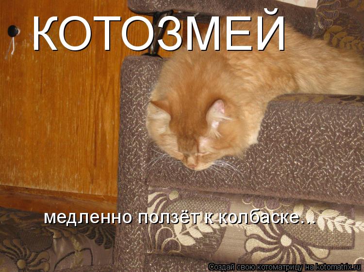 Котоматрица: КОТОЗМЕЙ медленно ползёт к колбаске...
