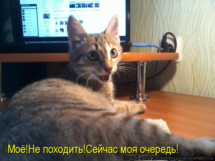 Котоматрица: Моё!Не походить!Сейчас моя очередь!