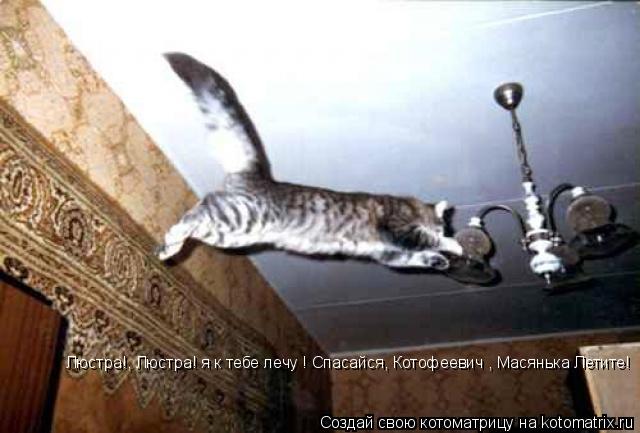 Котоматрица: Люстра!, Люстра! я к тебе лечу ! Спасайся, Котофеевич , Масянька Летите!