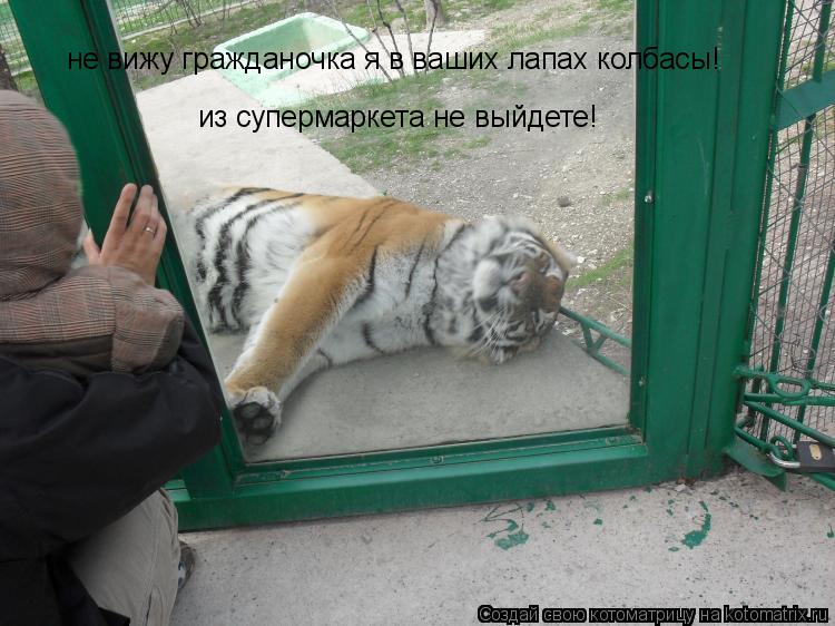 не вижу гражданочка я в ваших лапах колбасы! из супермаркета не выйдете!... Котоматрица: не вижу гражданочка я в ваших лапах колбасы! из супермаркета не выйдете!
