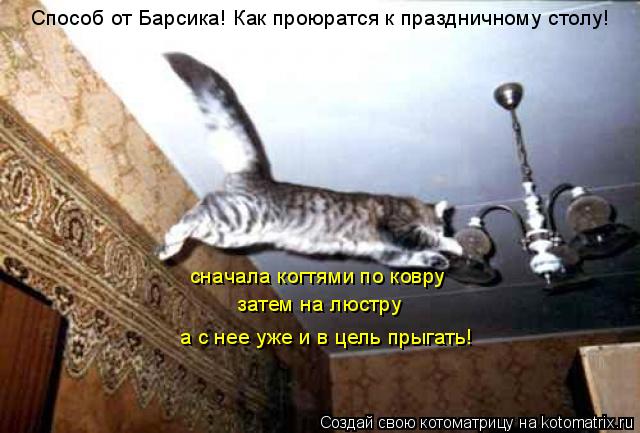 Способ от Барсика! Как проюратся к праздничному столу! сначала когтями по ковру затем на люстру а ... Котоматрица: Способ от Барсика! Как проюратся к праздничному столу! сначала когтями по ковру затем на люстру а с нее уже и в цель прыгать!