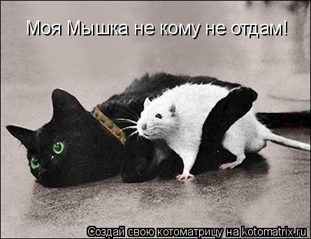 Моя Мышка не кому не отдам!... Котоматрица: Моя Мышка не кому не отдам!