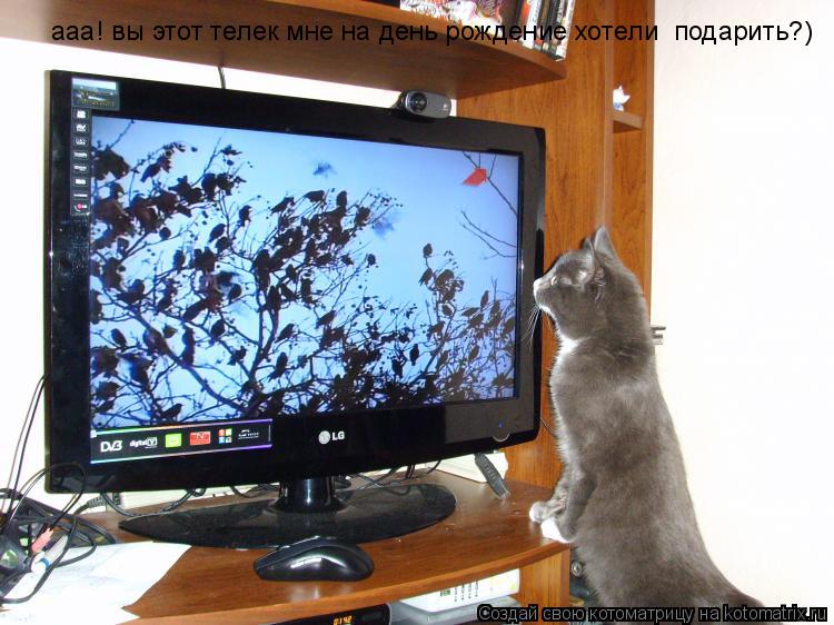 ааа! вы этот телек мне на день рождение хотели подарить?)... Котоматрица: ааа! вы этот телек мне на день рождение хотели подарить?)