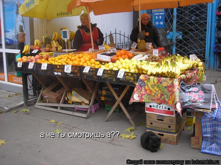 а че ты смотришь а??... Котоматрица: а че ты смотришь а??