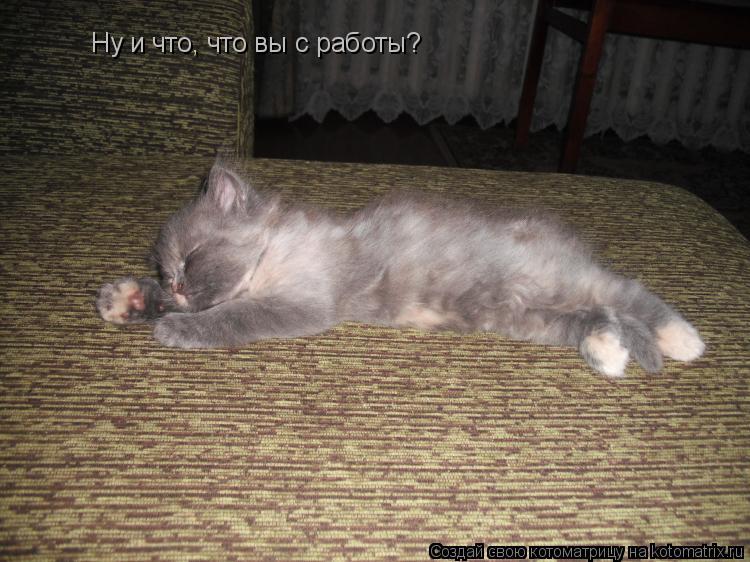 Ну и что, что вы с работы?... Котоматрица: Ну и что, что вы с работы?