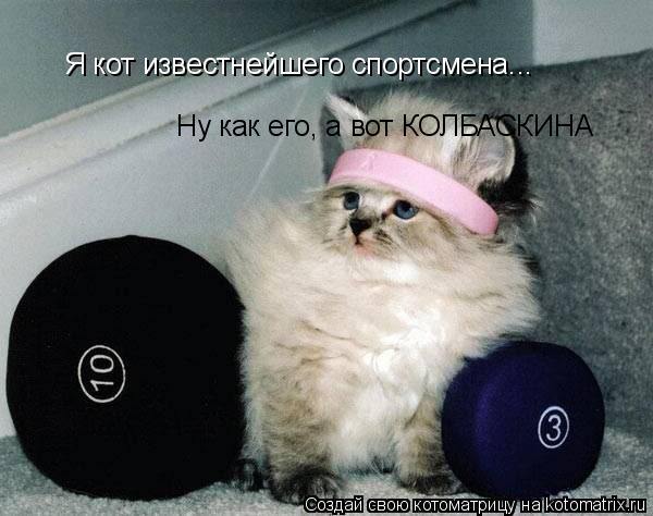 Я кот известнейшего спортсмена... Ну как его, а вот КОЛБАСКИНА... Котоматрица: Я кот известнейшего спортсмена... Ну как его, а вот КОЛБАСКИНА