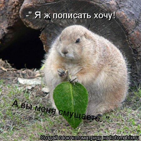 -" Я ж пописать хочу! А вы меня смущаете.."... Котоматрица: -" Я ж пописать хочу! А вы меня смущаете.."