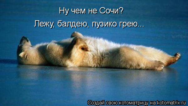 Ну чем не Сочи? Лежу, балдею, пузико грею...... Котоматрица: Ну чем не Сочи? Лежу, балдею, пузико грею...