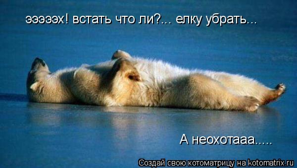 эээээх! встать что ли?... елку убрать... А неохотааа........ Котоматрица: эээээх! встать что ли?... елку убрать... А неохотааа.....