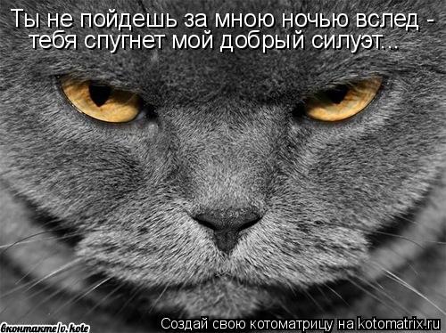 Котоматрица: Ты не пойдешь за мною ночью вслед - тебя спугнет мой добрый силуэт...