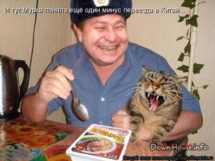 Котоматрица: И тут Мурка поняла ещё один минус переезда в Китай...