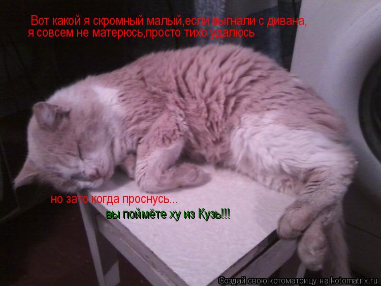Вот какой я скромный малый Вот какой я скромный малый,если выгнали с дивана, но зато когда проснусь..... Котоматрица: Вот какой я скромный малый Вот какой я скромный малый,если выгнали с дивана, но зато когда проснусь... я совсем не матерюсь,просто тихо удалю