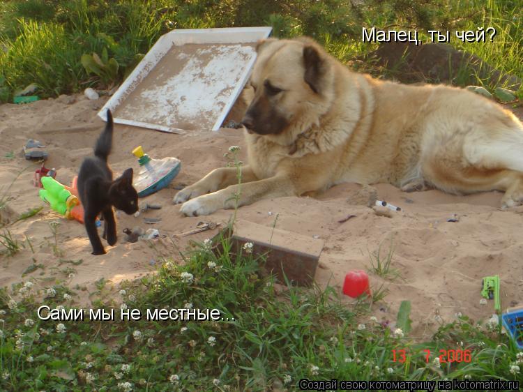 Малец, ты чей? Сами мы не местные...... Котоматрица: Малец, ты чей? Сами мы не местные...