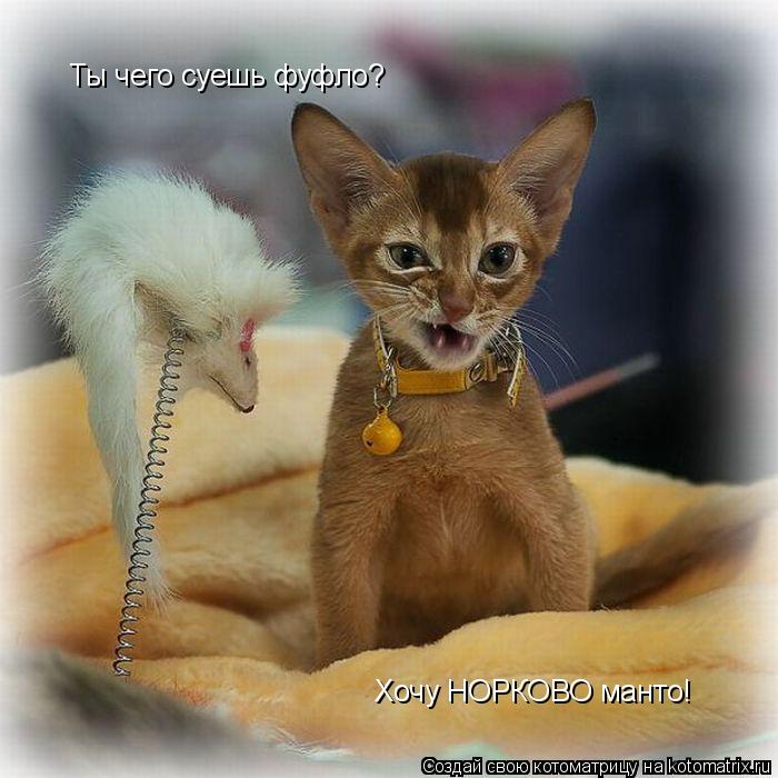 Ты чего суешь фуфло? Хочу НОРКОВО манто!... Котоматрица: Ты чего суешь фуфло? Хочу НОРКОВО манто!
