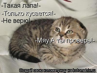-Такая лапа!- -Только кусается!- -Не верю!- -Мяу А ты проверь!-... Котоматрица: -Такая лапа!- -Только кусается!- -Не верю!- -Мяу А ты проверь!-