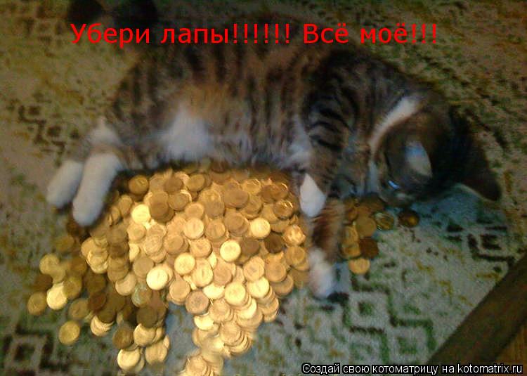 Убери лапы!!!!!! Всё моё!!!... Котоматрица: Убери лапы!!!!!! Всё моё!!!
