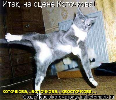 Итак, на сцене Коточкова! коточкова,..волочкова,..хвосточкова...... Котоматрица: Итак, на сцене Коточкова! коточкова,..волочкова,..хвосточкова...