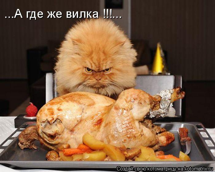 Котоматрица: ...А где же вилка !!!...