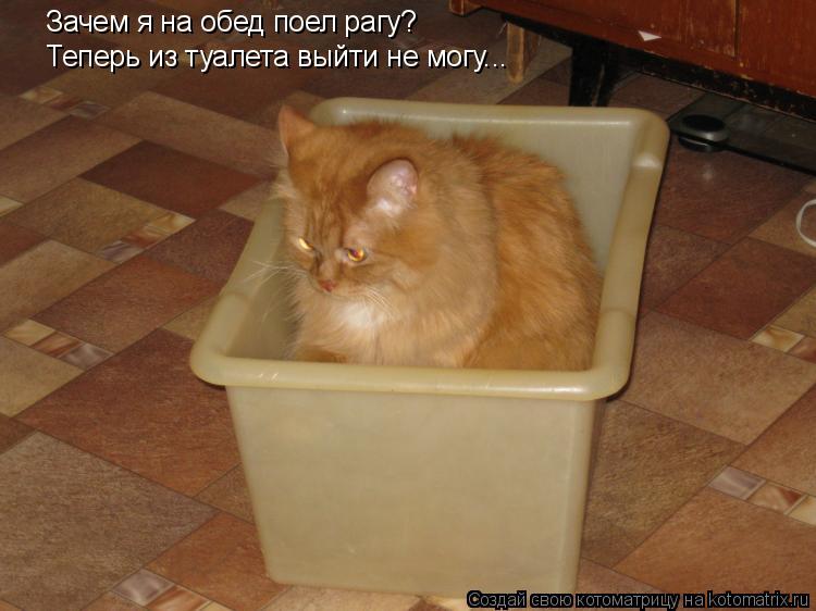 Котоматрица: Зачем я на обед поел рагу? Теперь из туалета выйти не могу...