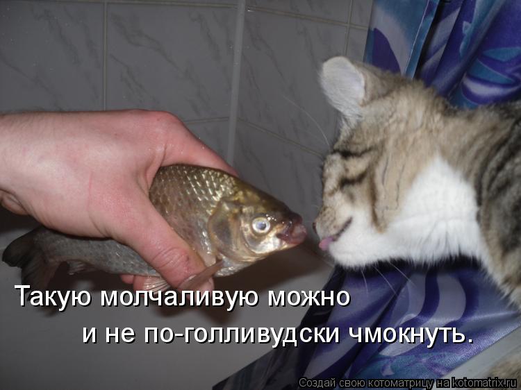 Котоматрица: Такую молчаливую можно  и не по-голливудски чмокнуть.