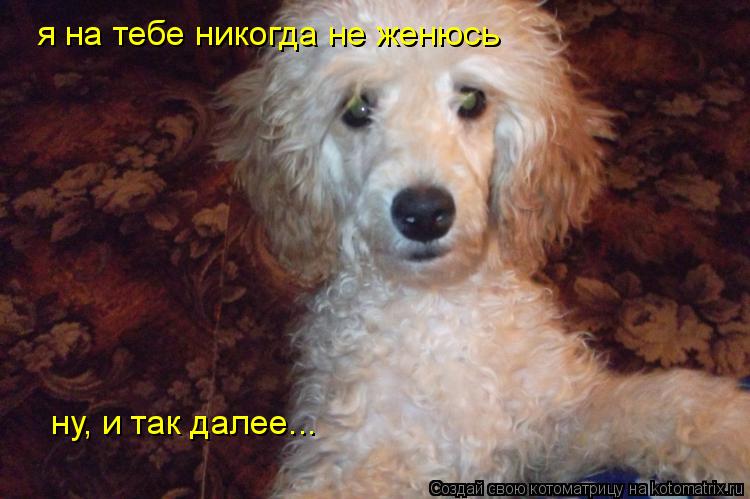 Котоматрица: я на тебе никогда не женюсь ну, и так далее...