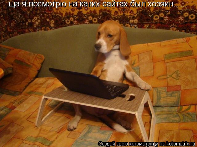 Котоматрица: ща я посмотрю на каких сайтах был хозяин......