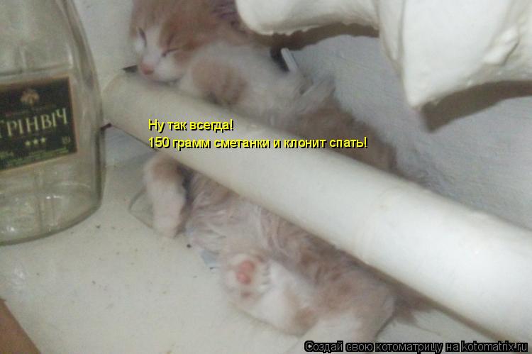 Котоматрица: Ну так всегда! 150 грамм сметанки и клонит спать!