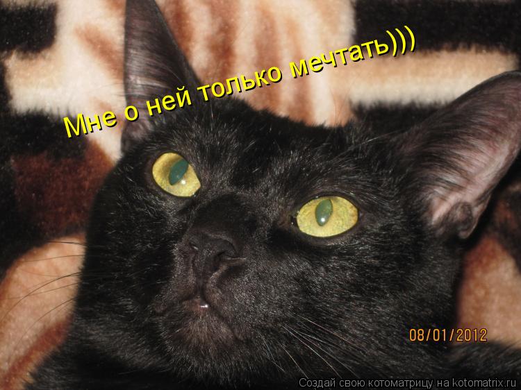 Котоматрица: Мне о ней только мечтать)))
