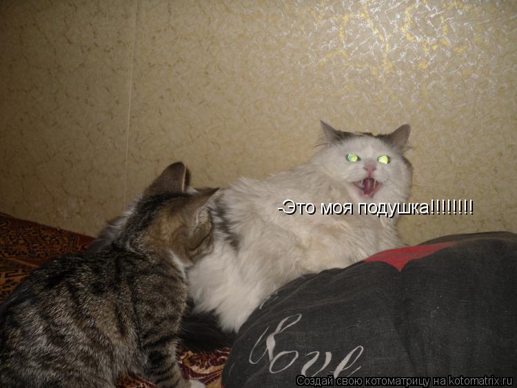 Котоматрица: -Это моя подушка!!!!!!!!