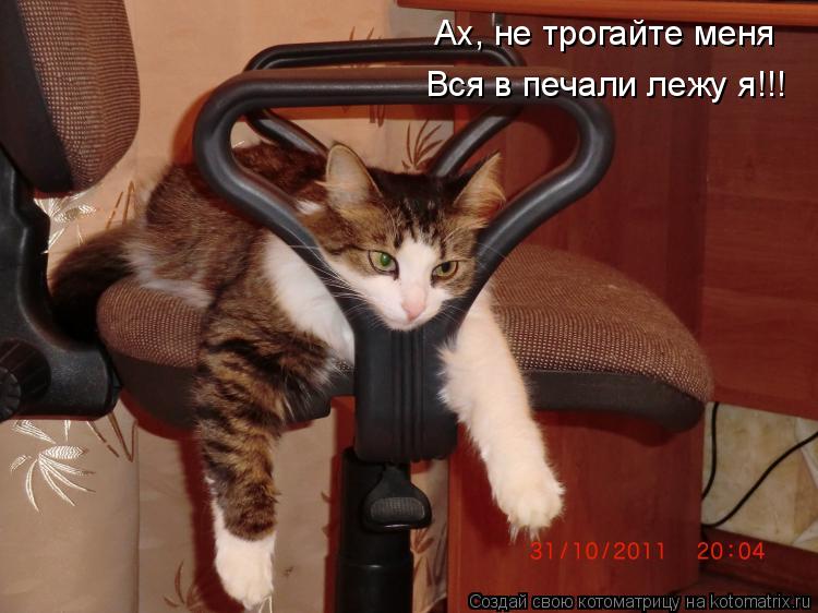 Котоматрица: Ах, не трогайте меня Вся в печали лежу я!!!