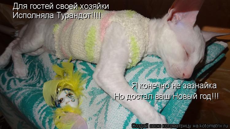 Котоматрица: Исполняла Турандот!!!!   Я конечно не зазнайка Для гостей своей хозяйки  Но достал ваш Новый год!!!