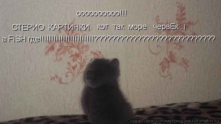 Котоматрица: оооооооооо!!! СТЕРИО  КАРТИНКИ кот  так  море   червЕк   ! а FISH где!!!!!!!!!!!!!!!!!!!!!!!????????????????????????????
