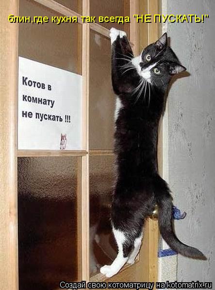 Котоматрица: блин,где кухня так всегда "НЕ ПУСКАТЬ!"