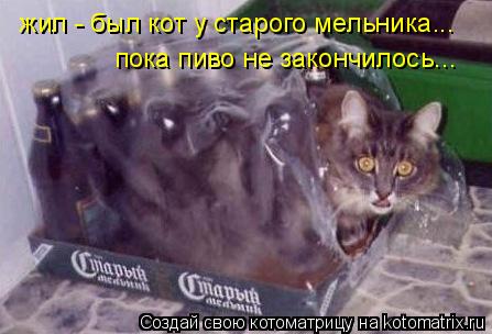 Котоматрица: жил - был кот у старого мельника... пока пиво не закончилось...
